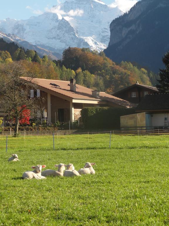 Apartment Beck Wilderswil Exteriör bild